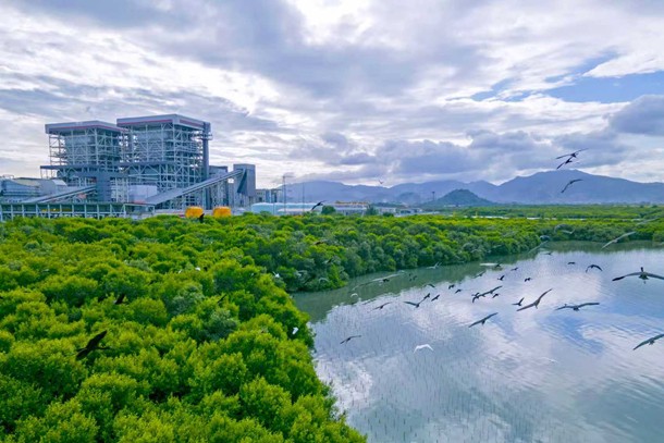 1764676824272069659.jpg 1764676693870099090.jpg